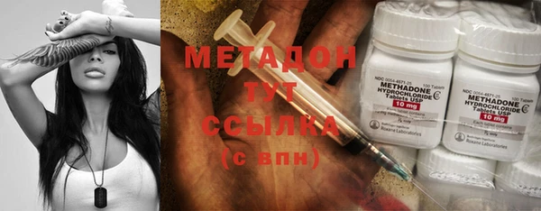 прущие грибы Михайловка