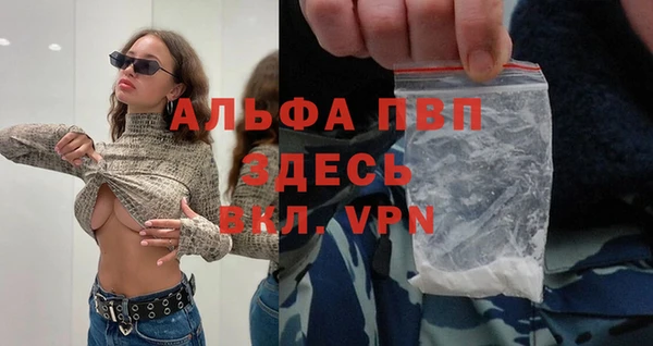 прущие грибы Михайловка
