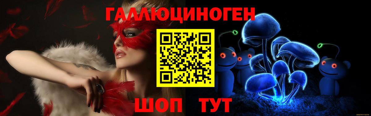 Дятьково  Псилоцибиновые грибы Magic Shrooms  Псилоцибиновые грибы Psilocybe  Вход с VPN 