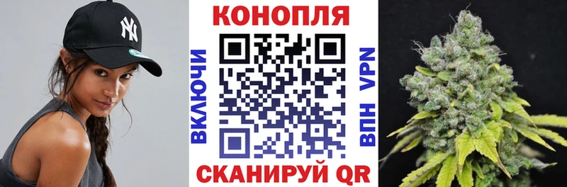 Бошки Шишки марихуана  hydra как войти  Дятьково  площадка состав  купить закладку 